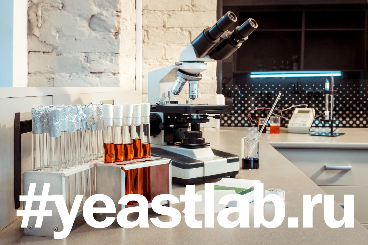 Новая линейка жидких дрожжей от лаборатории Yeastlab.ru